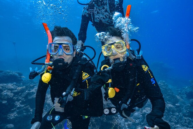 Great Barrier Reef with Cultural Guides-Dreamtime Dive & Snorkel - Cultural + marine talks on the water (and why they matter)