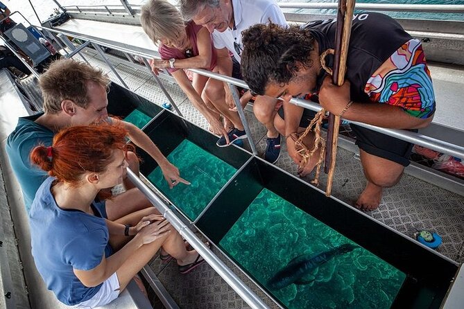 Great Barrier Reef with Cultural Guides-Dreamtime Dive & Snorkel - Snorkeling logistics: gear, instruction, and safety feel
