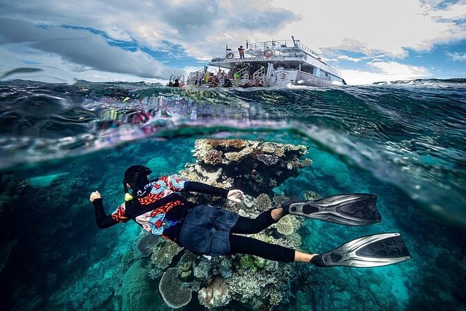 Great Barrier Reef with Cultural Guides-Dreamtime Dive & Snorkel - Meeting at 1 Spence St and settling into the day