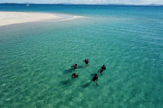 Great Keppel Island PADI Discover Scuba Dive with Keppel Dive - Key things I’d clock before you go