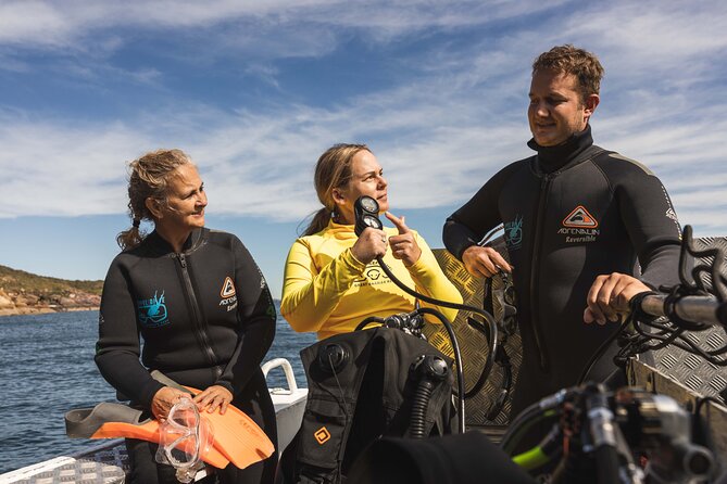 Great Keppel Island PADI Discover Scuba Dive with Keppel Dive - Reef time in three hours: what this trip really delivers