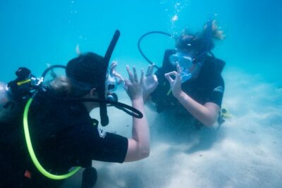 Great Keppel Island PADI Discover Scuba Dive with Keppel Dive - Price and logistics: where money goes (and what it doesn’t cover)