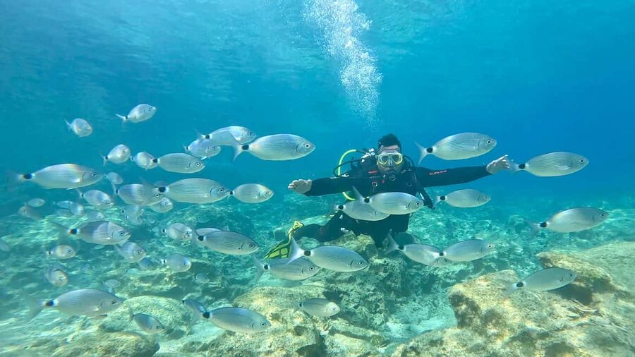 Green Bay Cyprus - Scuba diving - Guided Dive or Try Dive - First-Time Scuba in Green Bay: What You’re Really Signing Up For