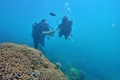 [GROUP] SCUBA DIVING For Beginners in Phu Quoc Island (TRY DIVE) - Morning Plan From 7:30am: Pickup, Harbor, and Getting Ready