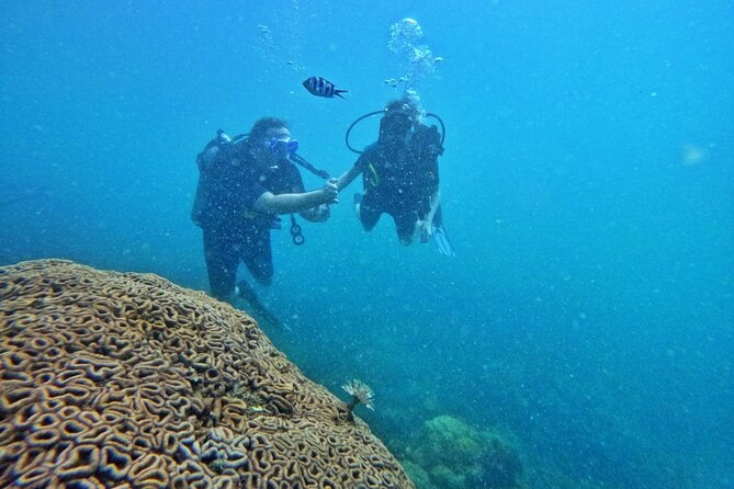 [GROUP] SCUBA DIVING For Beginners in Phu Quoc Island (TRY DIVE) - Morning Plan From 7:30am: Pickup, Harbor, and Getting Ready