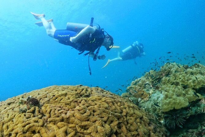 [GROUP] SCUBA DIVING for Certified Divers in Phu Quoc Island - Key things to know before you go