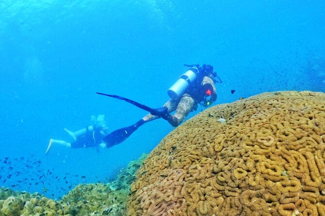 [GROUP] SCUBA DIVING for Certified Divers in Phu Quoc Island - Heading to An Thoi Islands for reef life