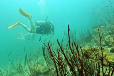 [GROUP] SCUBA DIVING for Certified Divers in Phu Quoc Island - The underwater plan: time, depth, and instructor support