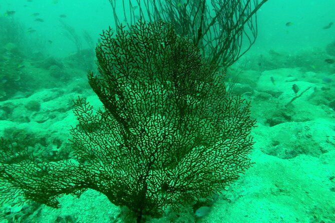 [GROUP] SCUBA DIVING for Certified Divers in Phu Quoc Island - Boat time: lunch, cold water, and a realistic check of comfort