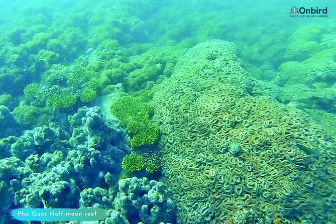 [GROUP] SCUBA DIVING for Certified Divers in Phu Quoc Island - What the gear situation really means for you