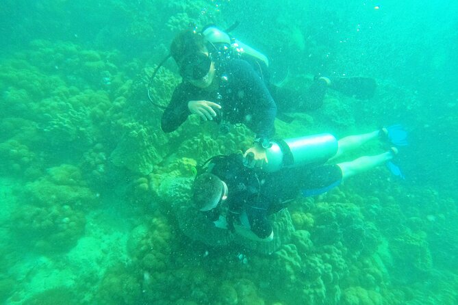 [GROUP] SCUBA DIVING for Certified Divers in Phu Quoc Island - Group vibe: small numbers, shared van, shared day