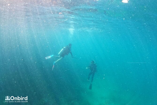 [GROUP] SCUBA DIVING for Certified Divers in Phu Quoc Island - Who this is best for (and who should pass)