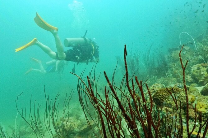 [GROUP] SCUBA DIVING for Certified Divers in Phu Quoc Island - The underwater plan: time, depth, and instructor support