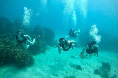 Guam's Best Beach Diving! Beginner and Advanced Dives - Price and Value: Why $90 Makes Sense Here
