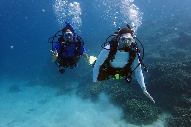 Guam's Best Beach Diving! Beginner and Advanced Dives - The Shallow Reef Session (What Beginners Can Expect)