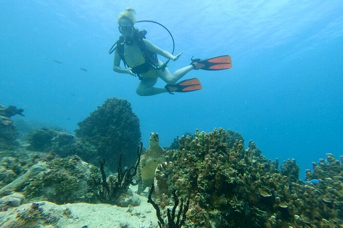 Guam's Best Beach Diving! Beginner and Advanced Dives - Marine Life You’re Most Likely to See