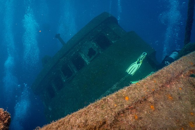 Guided Boat Dives for Certified Divers - Price and logistics that affect real value