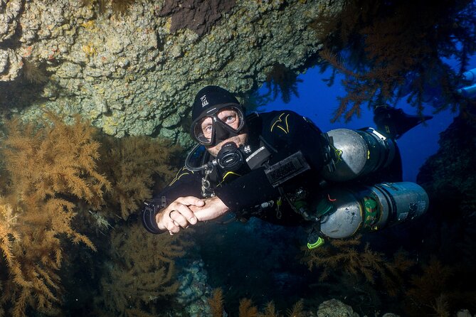 Guided Boat Dives for Certified Divers - Starting at 8:30 am: how the day begins in Playa de las Américas