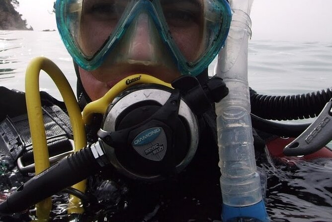 Guided dive for certified divers - Key Highlights You’ll Actually Care About