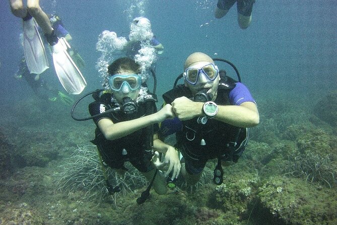 Guided dive for certified divers - Meeting at the Apulia Team Desk on Via Dardanelli