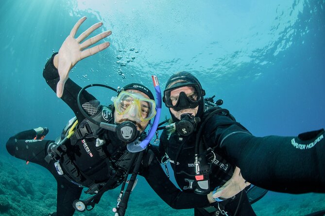 Guided diving for beginners without certification from Sorrento - Key Highlights You’ll Care About