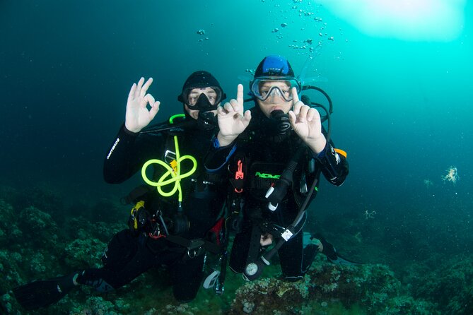 Guided diving for beginners without certification from Sorrento - Meeting at Via Marina Grande and Starting at 8:00am