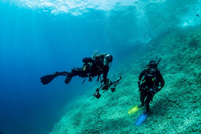 Guided diving for beginners without certification from Sorrento - Second Session to 12 Metres: More Space, More Wildlife