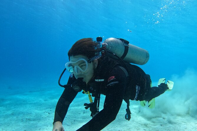 Guided Padi Discover Scuba Diving for Non-Certified Divers - Key highlights worth knowing before you go