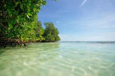 Guided Padi Discover Scuba Diving for Non-Certified Divers - The DSD-style orientation: how they set you up for success