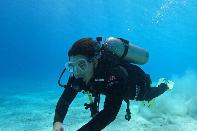 Guided Padi Discover Scuba Diving for Non-Certified Divers - The guides: why names like Mark and Coco come up so often