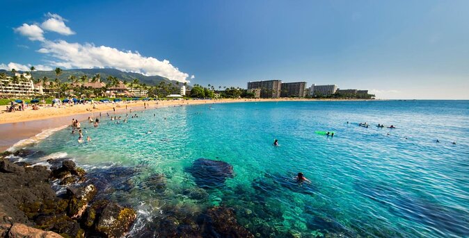 Guided Scuba Dive in Lahaina: Certified - Key highlights worth planning around