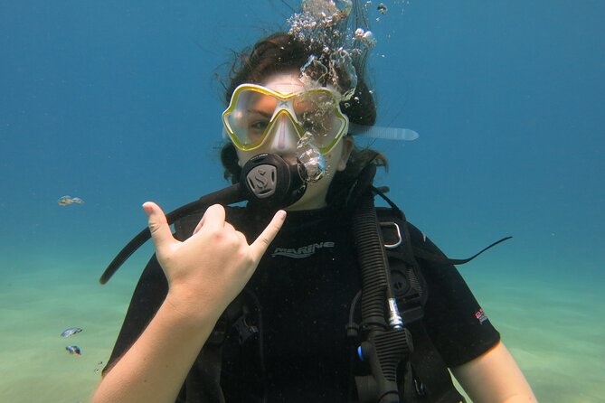 Guided Scuba Dive in Lahaina: Certified - What you’ll likely see off Kaanapali’s shore