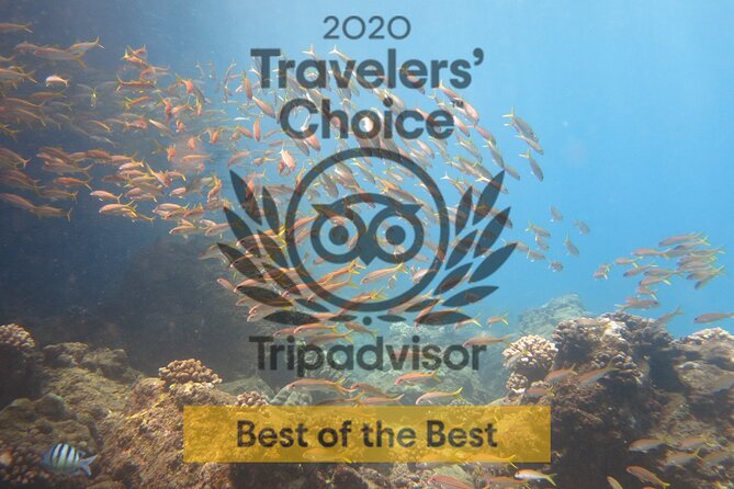 Guided Scuba Dive in Lahaina: Certified - Equipment, rentals, and the 35-pound reality check