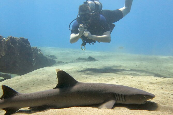Guided Scuba Dive in Lahaina: Certified - Local operator vibes: supporting Lahaina with care