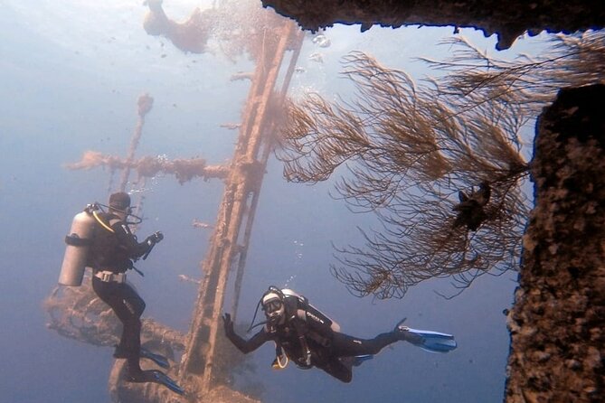 Guided Scuba Diving Adventure in Aqaba - Key Points You’ll Care About in Aqaba