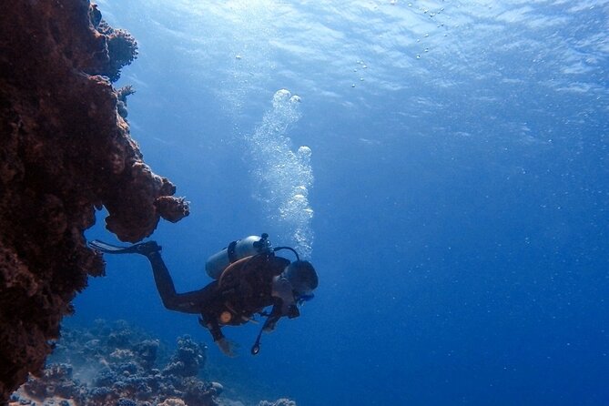Guided Scuba Diving Adventure in Aqaba - Aqaba’s Red Sea: Why This Reef Session Works
