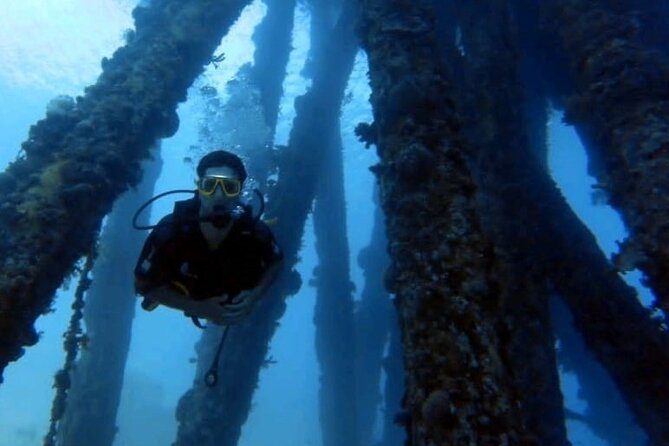Guided Scuba Diving Adventure in Aqaba - Pickup, Group Size, and Real-World Logistics That Matter