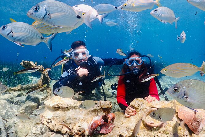 Guided Scuba Diving Experience in Kusadasi - Key highlights before you go