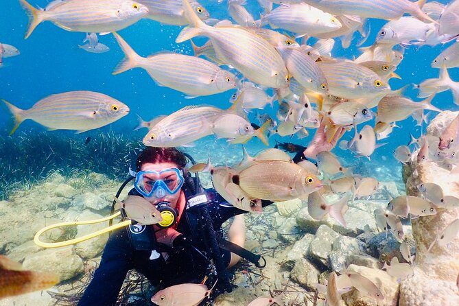 Guided Scuba Diving Experience in Kusadasi - Weather, small print, and how to plan your day