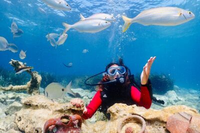Guided Scuba Diving Experience in Kusadasi - What you actually see: colorful fish, sea life, and real hands-on moments