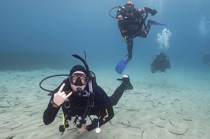 Guided SCUBA Diving for Certified Divers in Athens - What’s Included (and Why It’s Good Value)