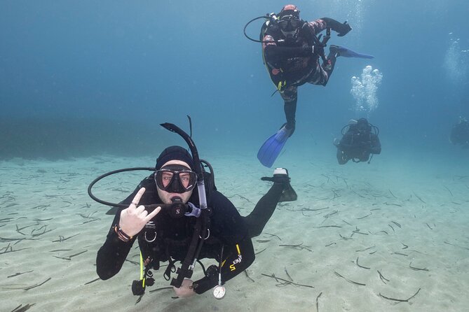 Guided SCUBA Diving for Certified Divers in Athens - Meeting Nautilus and Getting Gear Fitted Fast