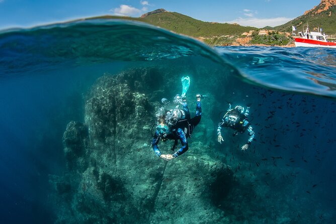 guided Scuba Diving on Tenerife (for certified divers) - Scubanana in Radazul: where your Tenerife underwater day starts