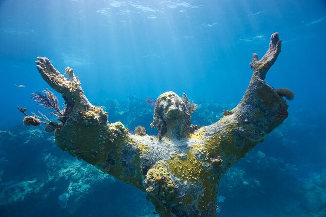 Guided Shallow 2 Tank Dive Trip for CERTIFIED SCUBA DIVERS ONLY! - Two Tank Scuba Time in Key Largo: What You’re Really Paying For