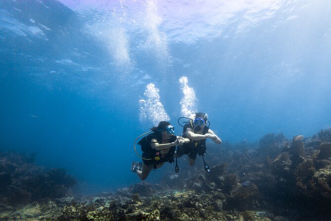Guided Shallow 2 Tank Dive Trip for CERTIFIED SCUBA DIVERS ONLY! - Equipment, Snacks, and Reef-Safe Sunscreen: The Real Convenience Value