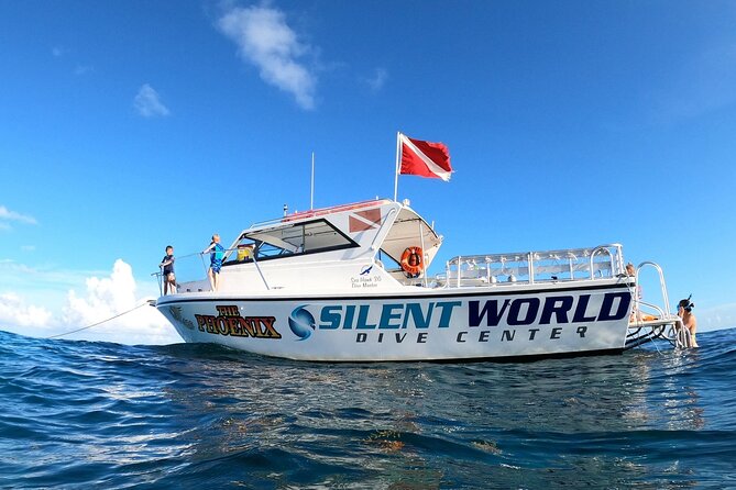 Guided Shallow 2 Tank Dive Trip for CERTIFIED SCUBA DIVERS ONLY! - Stop 1: Christ of the Deep (Christ of the Abyss Area)