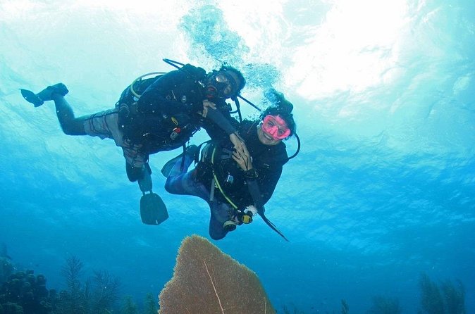 Guided Shore Dive for Certified Divers with Scubaçao (1 tank) - Gear, Water, and the Camera-If-Conditions-Allow Touch