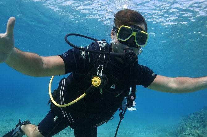 Guided Shore Dive for Certified Divers with Scubaçao (1 tank) - Should You Book This 1-Tank Shore Scuba Tour in Curaçao?