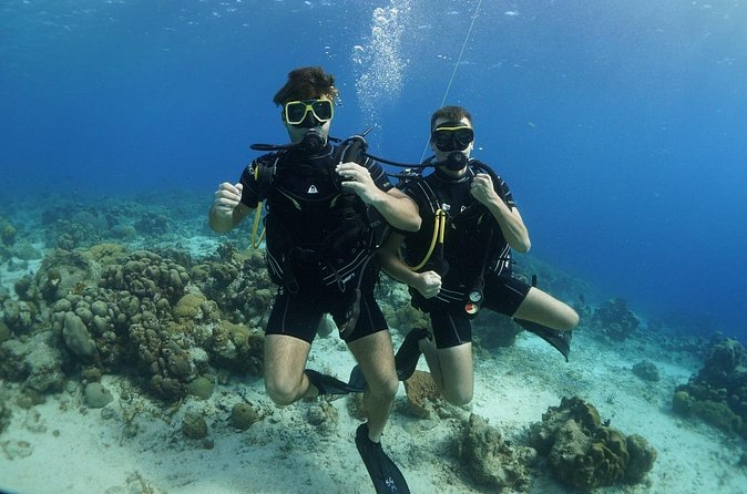 Guided Shore Dive for Certified Divers with Scubaçao (2 tank) - Equipment Setup: What’s Provided and How DIN/Yoke Fits In