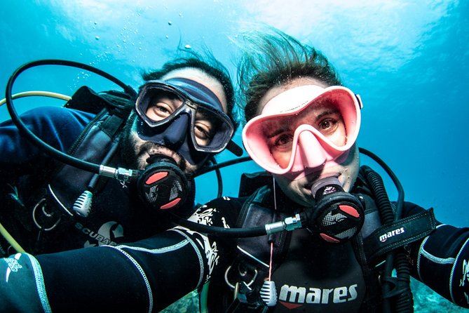 Guided Shore Dive for Certified Divers with Scubaçao (2 tank) - Price and Value Check: Is $155 Fair for Curaçao?